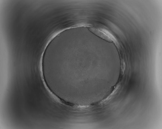 X0000094951055200711291409