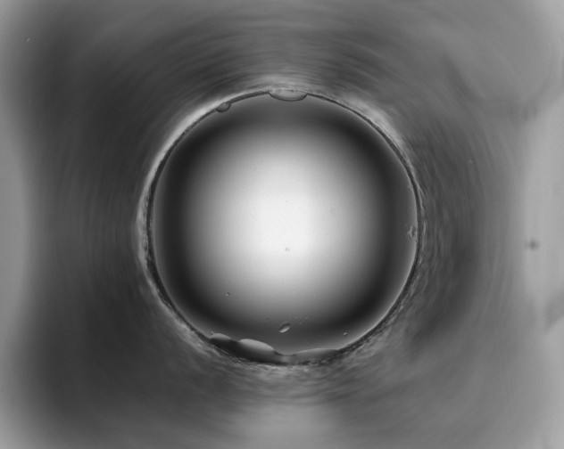 X0000094951056200711291409