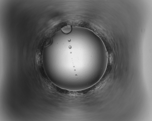 X0000094951059200711291409
