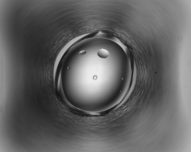 X0000094951060200711291409