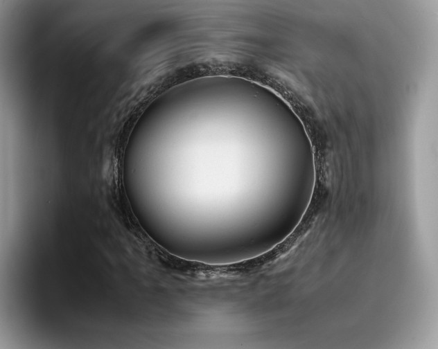 X0000094951061200711291409