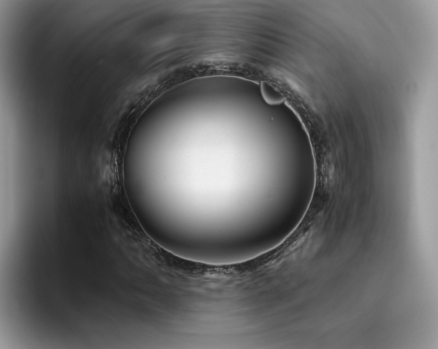 X0000094951062200711291409