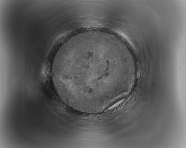 X0000094951063200711291409