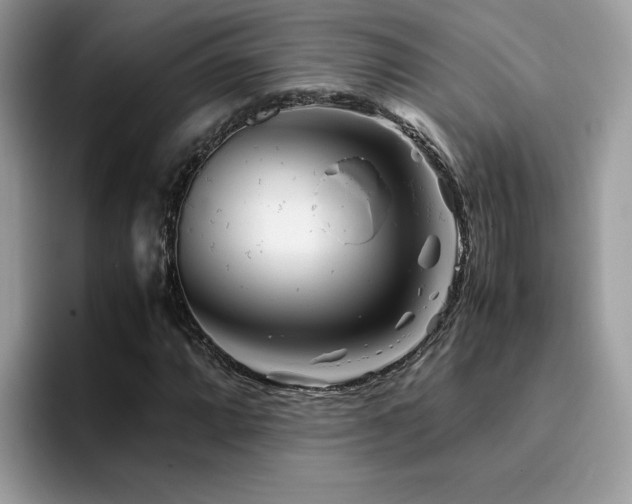 X0000094951064200711291409