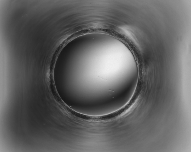 X0000094951065200711291409