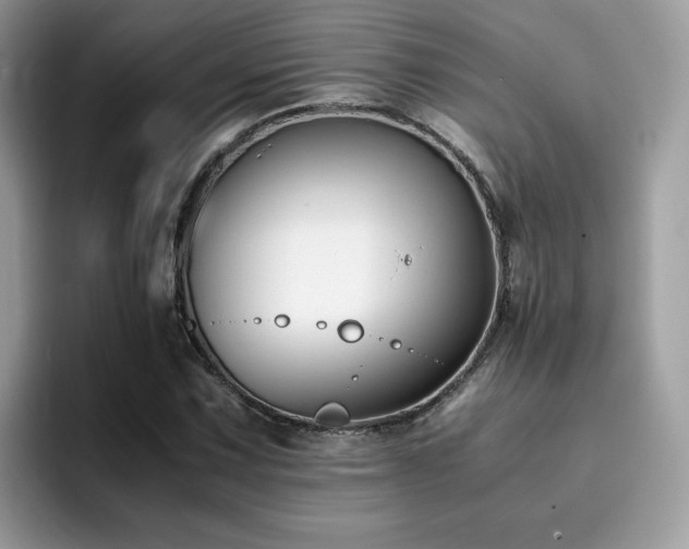 X0000094951067200711291409