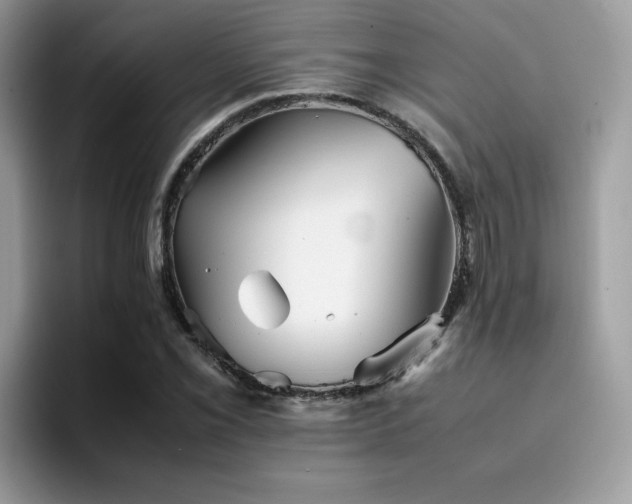 X0000094951069200711291409