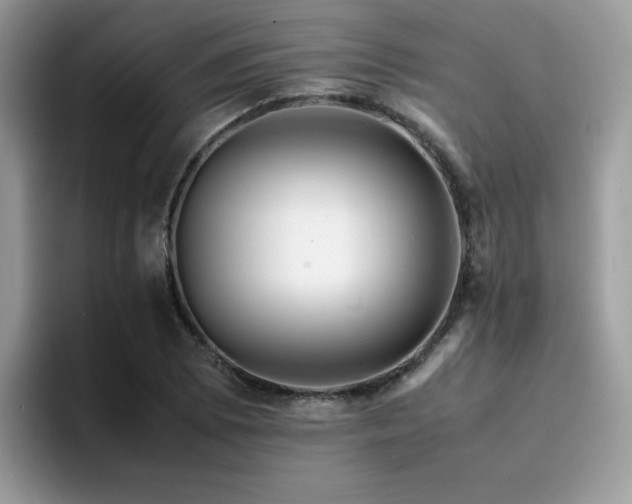 X0000094951073200711291409