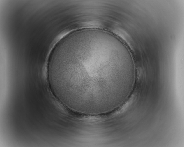 X0000094951074200711291409