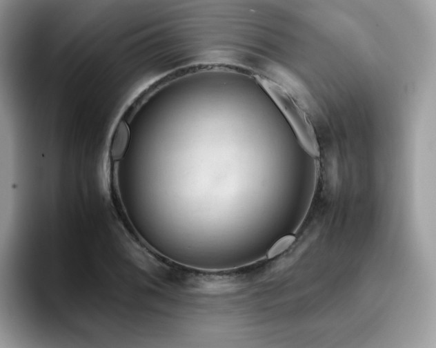 X0000094951076200711291409