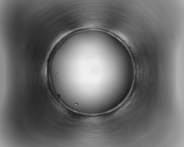 X0000094951078200711291409
