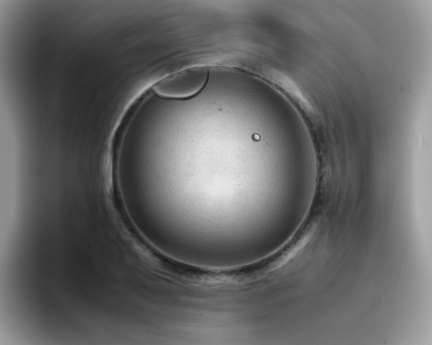 X0000094951079200711291409