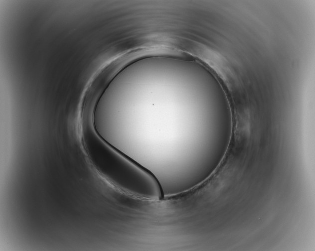 X0000094951080200711291408