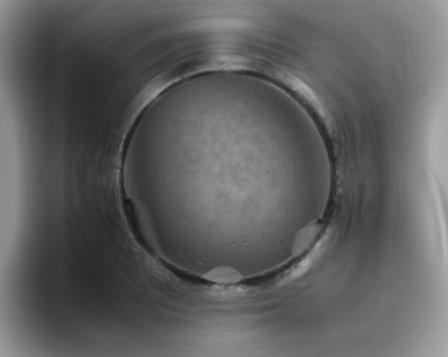 X0000094951081200711291408