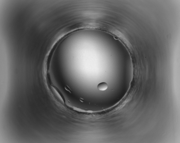 X0000094951083200711291408