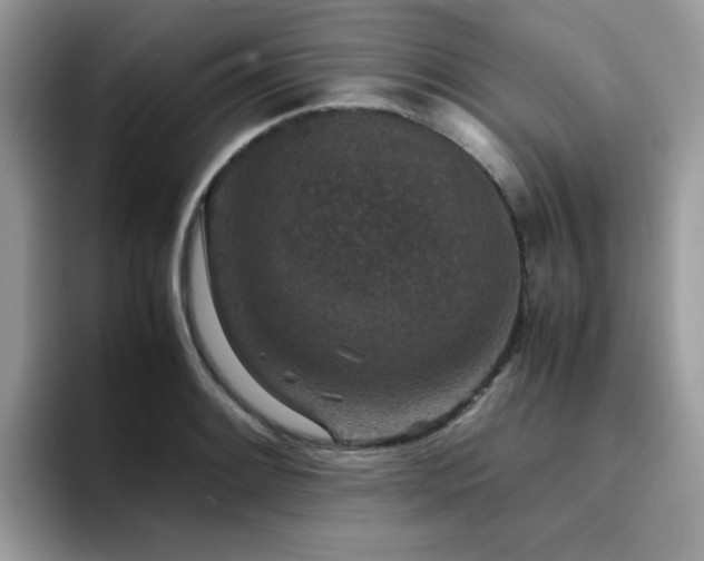X0000094951084200711291408