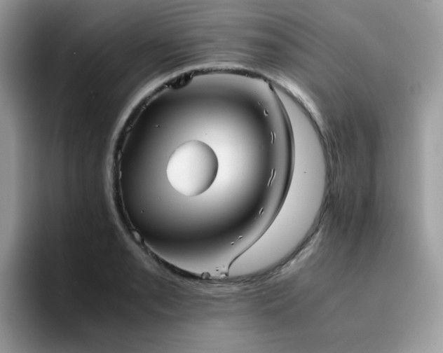X0000094951085200711291408
