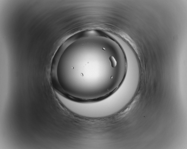 X0000094951089200711291408