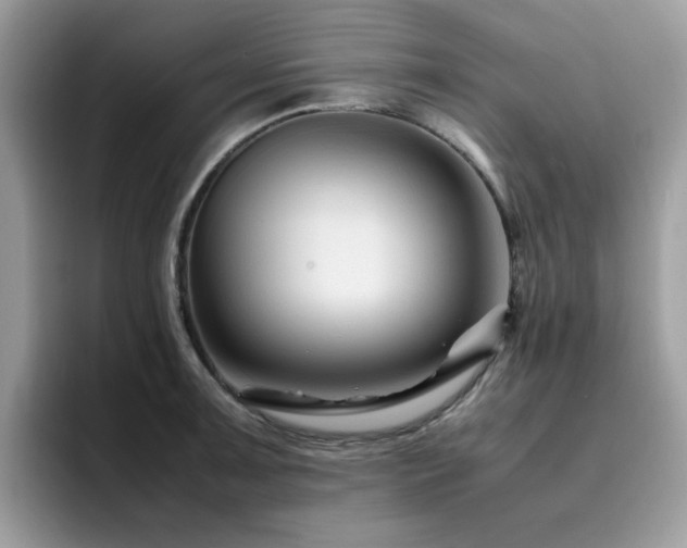 X0000094951091200711291408