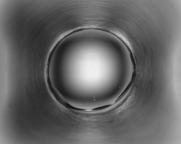 X0000094951093200711291408
