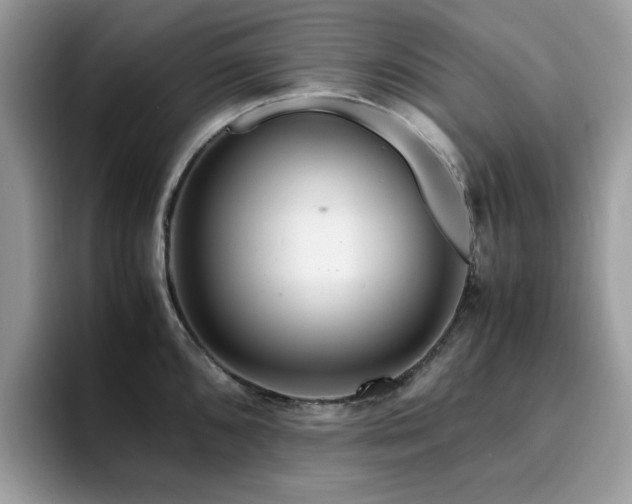 X0000094951096200711291408