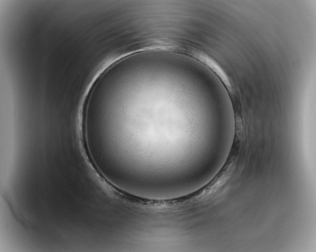 X0000094951099200711291408