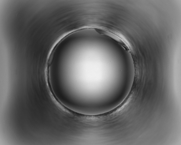 X0000094951100200711291408