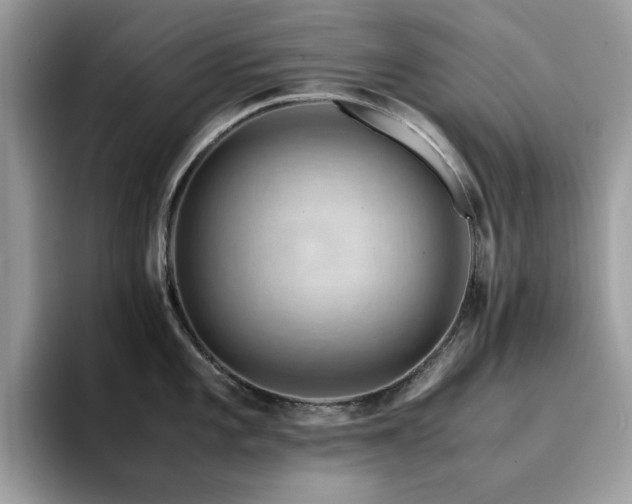 X0000094951101200711291408