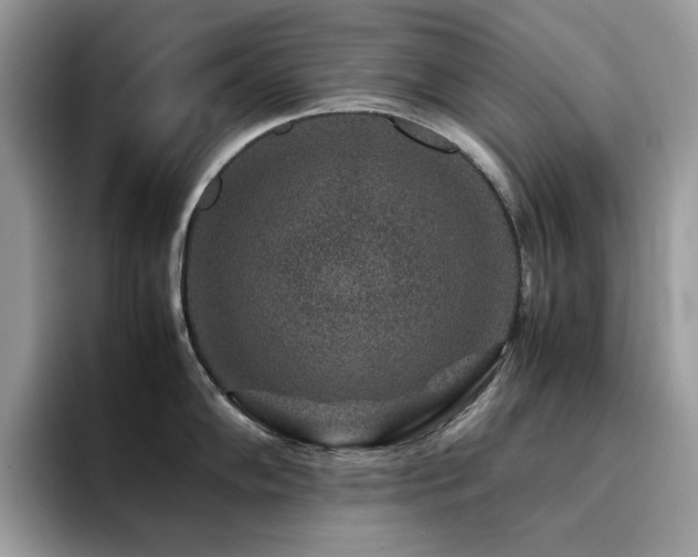 X0000094951102200711291408