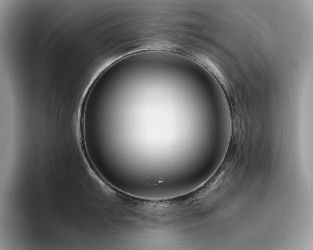 X0000094951103200711291408
