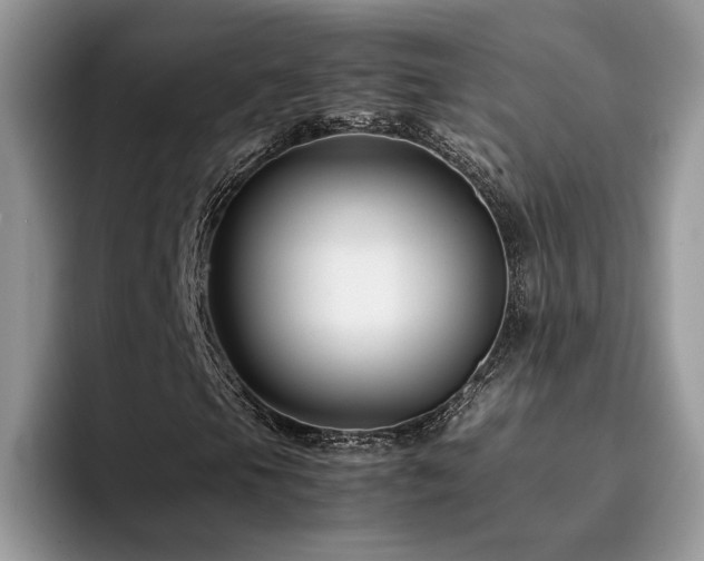 X0000094951105200711291408