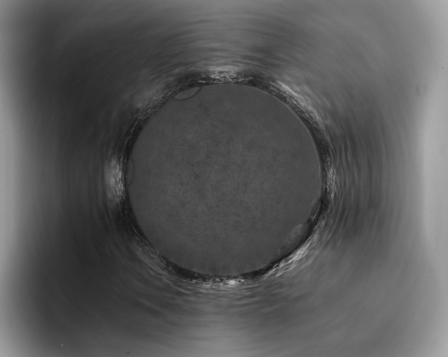 X0000094951106200711291408