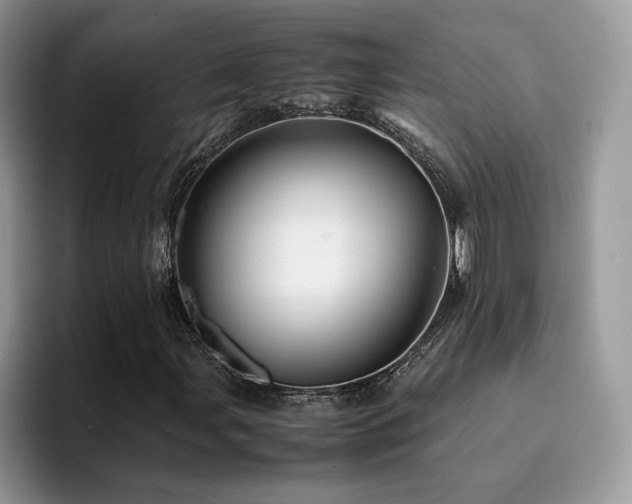 X0000094951107200711291408