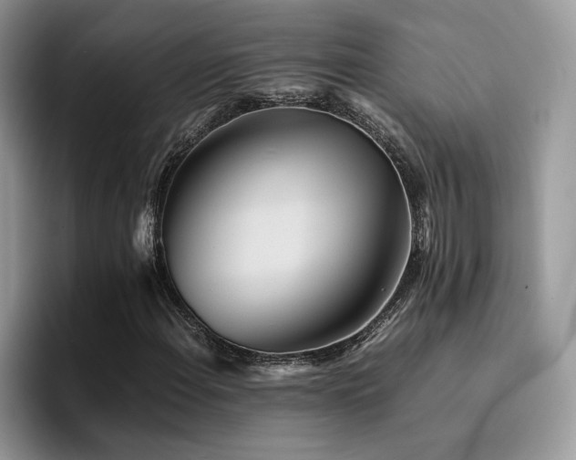 X0000094951108200711291408