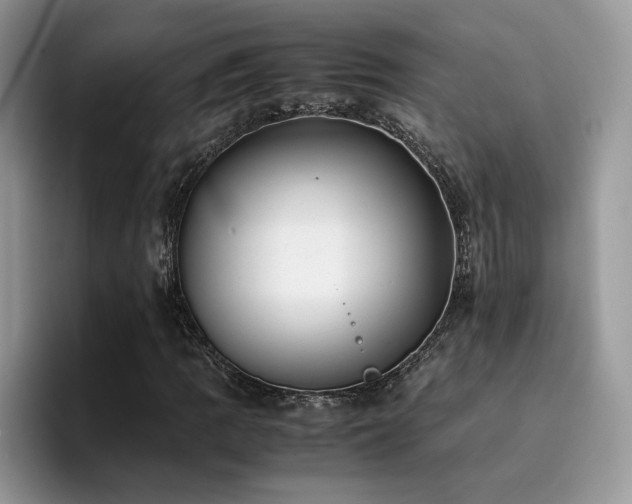 X0000094951109200711291408