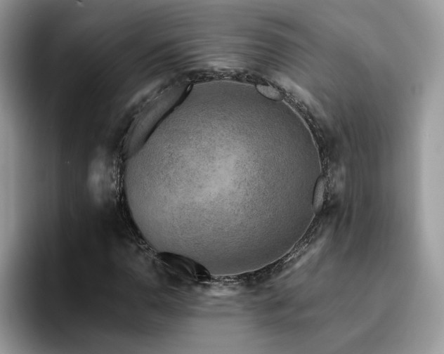 X0000094951110200711291408