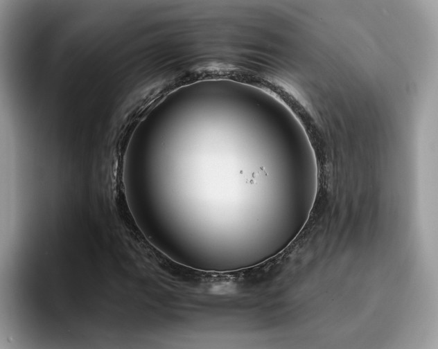 X0000094951111200711291408