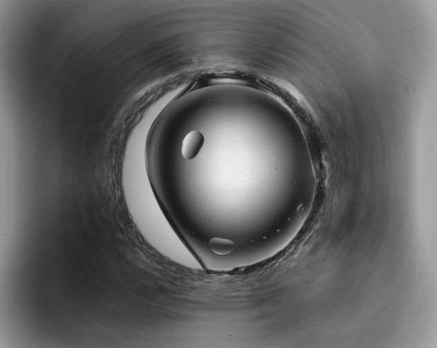 X0000094951112200711291408