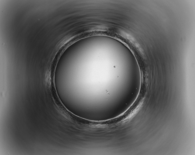 X0000094951113200711291408