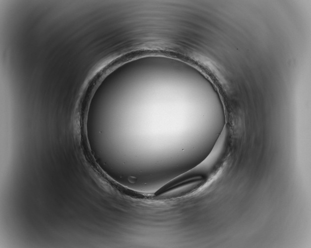 X0000094951114200711291408
