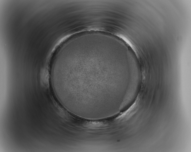 X0000094951115200711291408