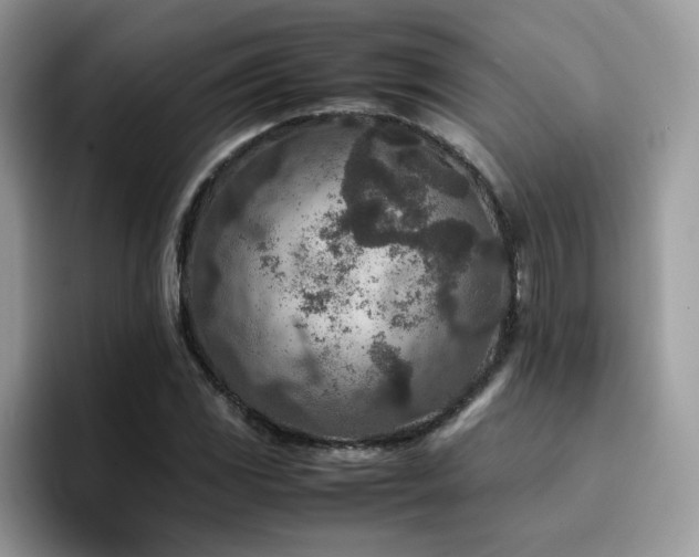 X0000094951117200711291408
