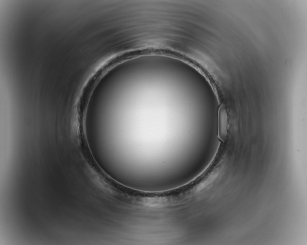 X0000094951118200711291408
