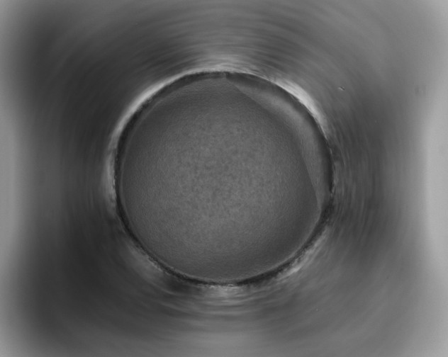 X0000094951120200711291408