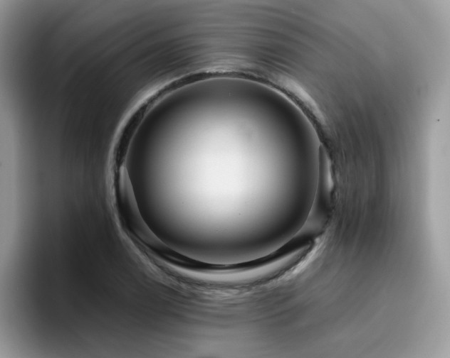 X0000094951122200711291408