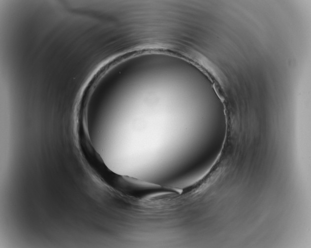 X0000094951124200711291408