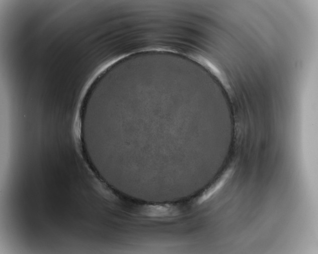 X0000094951125200711291408