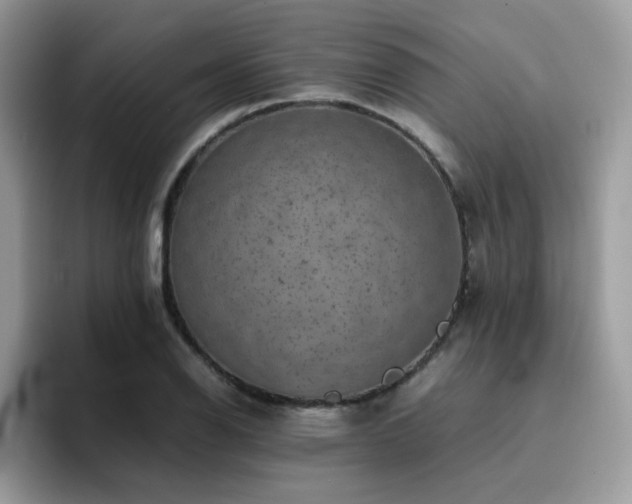 X0000094951126200711291408