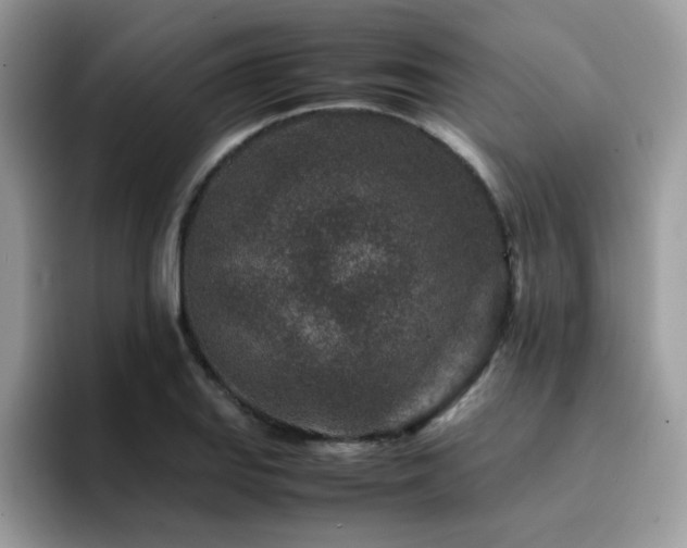 X0000094951127200711291408