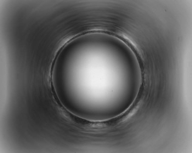 X0000094951129200711291408